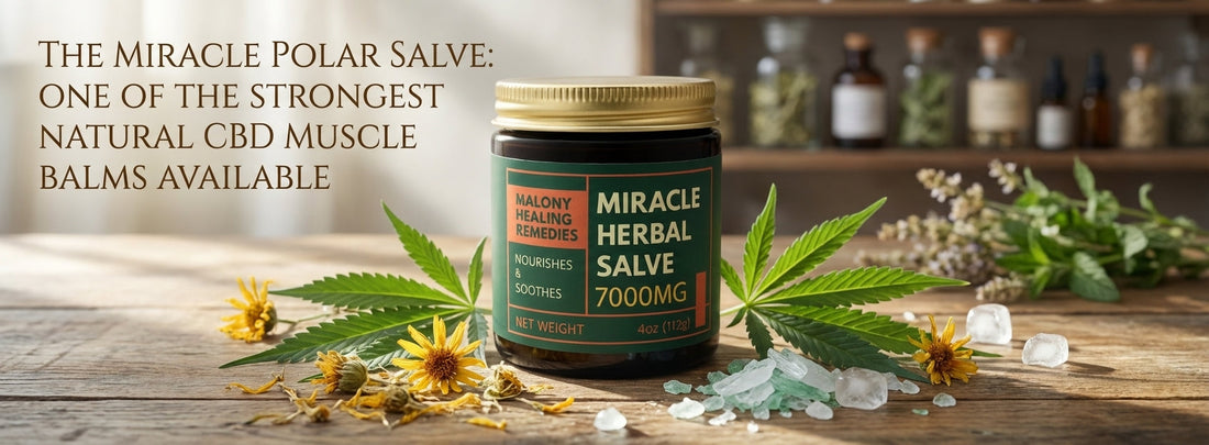 Featured image for The Miracle Polar Salve: One of the Strongest Natural CBD Muscle Balms Available