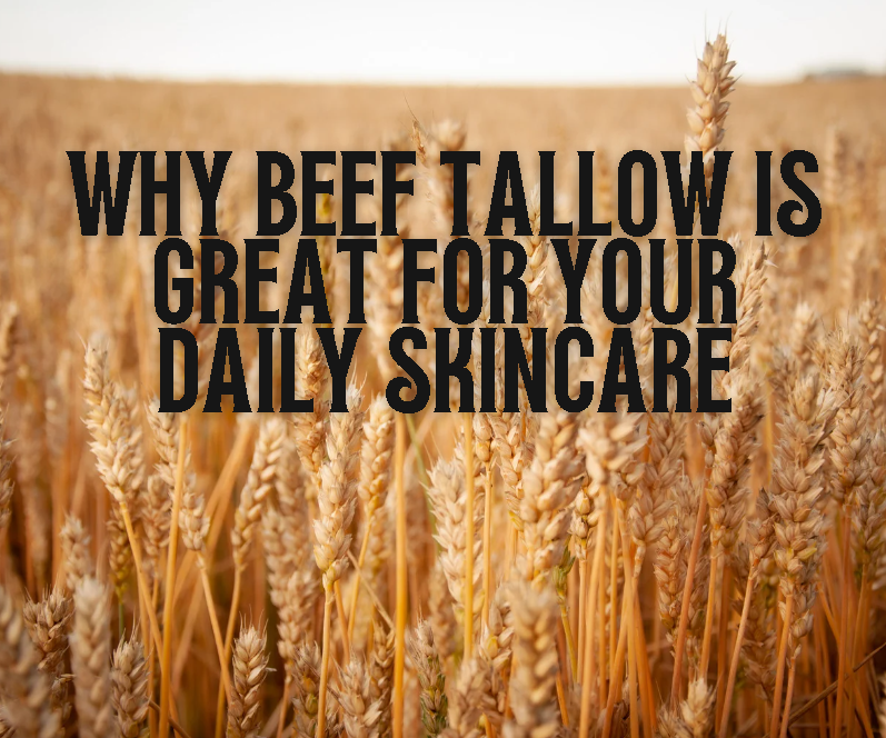 The Ultimate Guide to Beef Tallow Moisturizers: Benefits, Uses & Why Your Skin Will Love It