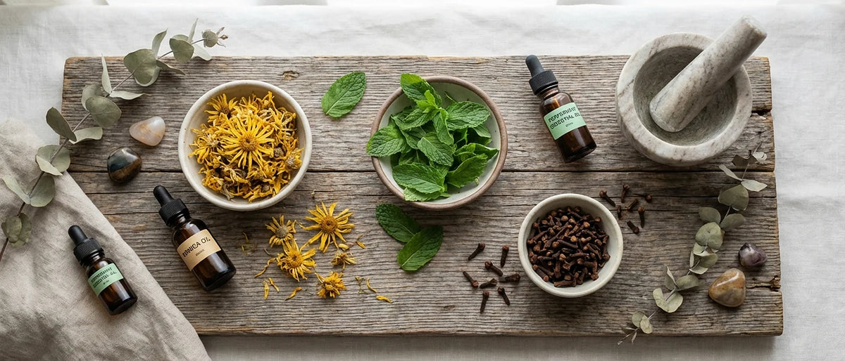 Natural muscle relief ingredients including dried arnica flowers, peppermint leaves, and clove buds arranged on rustic wooden surface with amber glass bottles